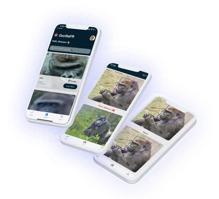 Gorilla face recognition